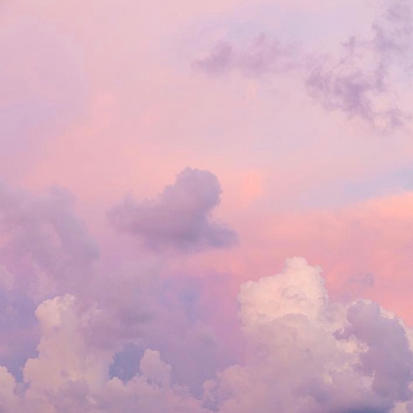 Meet your Posher, Annie - Picture 2 of 2